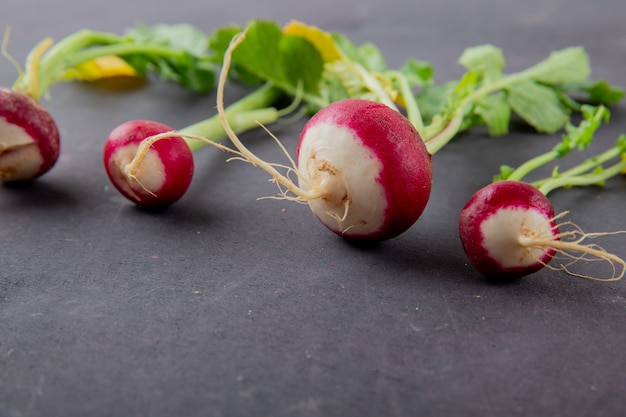 Free photo close-up view of radishes on maroon background with copy space