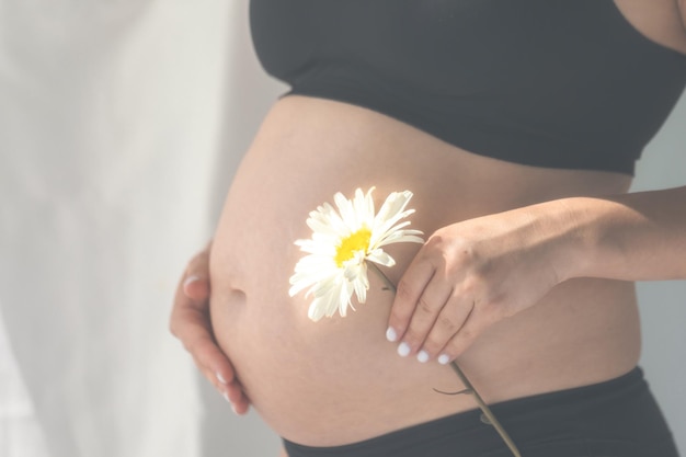 Free photo closeup of pregnant woman holding white daisy flower near her big belly