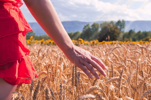 Free photo closeup shot of a female in a red dress in a wheat field on a sunny day