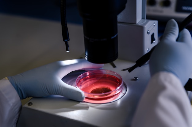 Free photo closeup shot of a person studying coronavirus particles with a microscope