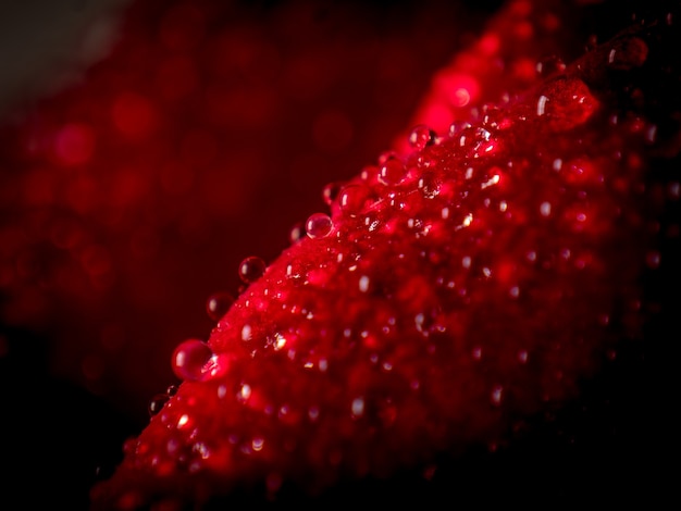 Free photo closeup shot of water droplets on a red fluffy surface - perfect for aesthetic backgrounds