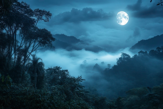 Free photo cloud forest landscape