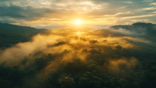 Free photo cloud forest landscape