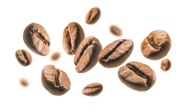 Free photo coffee beans levitate on a white background