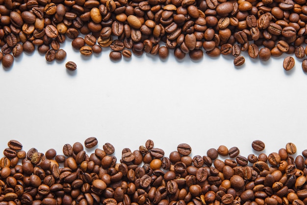 Free photo coffee beans top view on a white background space for text