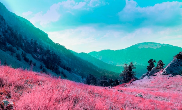 Free photo colorful retro vaporwave landscape