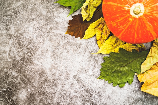 Free photo composition with pumpkin and withered leaves