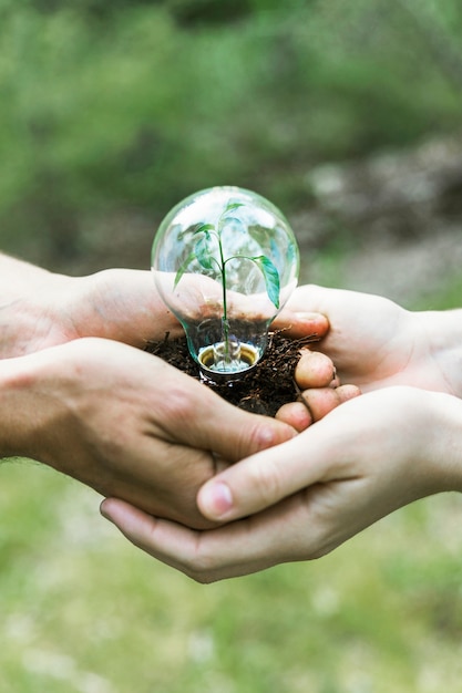 Free Photo concept plant in glass bulb 