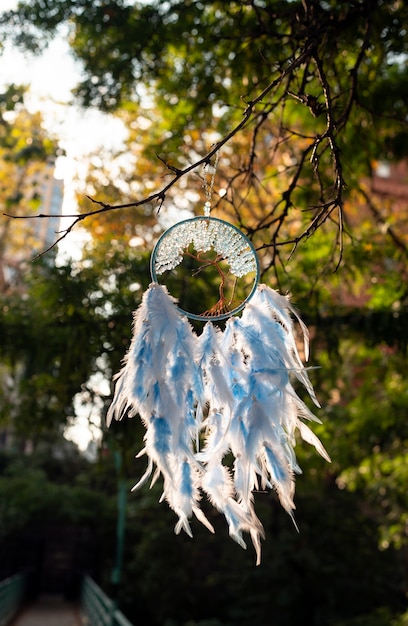 Free photo cool dream catcher outdoors