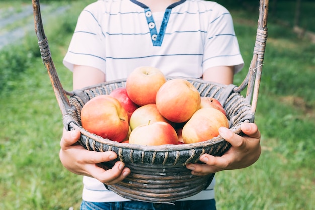 Crop boy with basket of apples