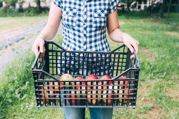 Crop woman with apples