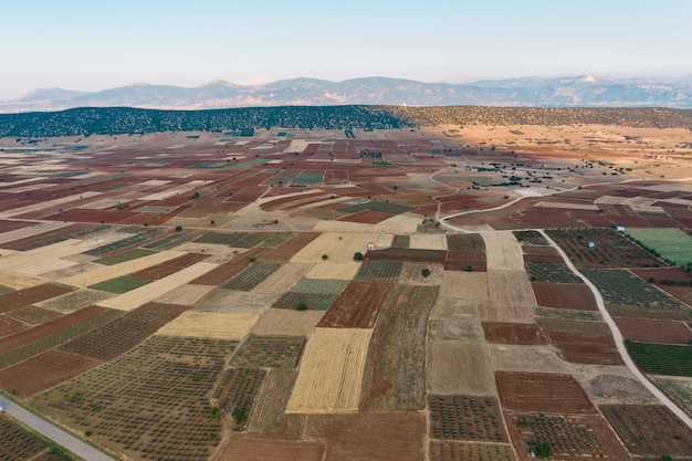 Free photo cultivated field from above.