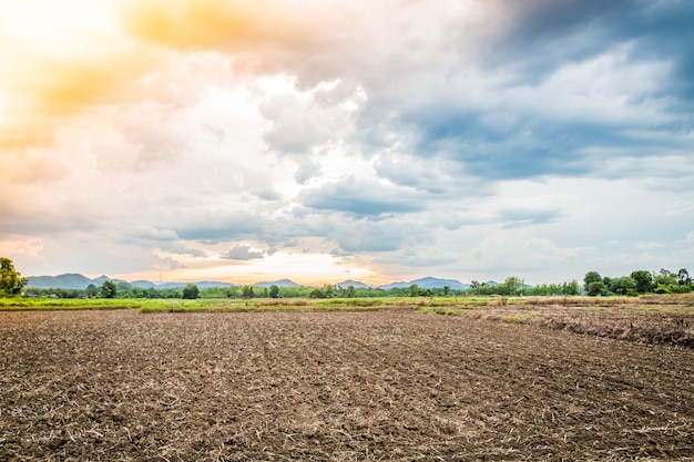 Free photo cultivated field at sunset