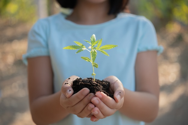 Free photo cute little child girl with seedlings on sunset background. fun little gardener. spring concept, nature and care. marijuana growing, planting cannabis, holding it in a hand.