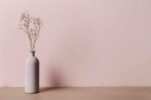 Decorative plant inside minimal vase