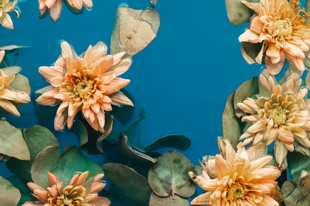 Free photo delicate flowers with leaves in water