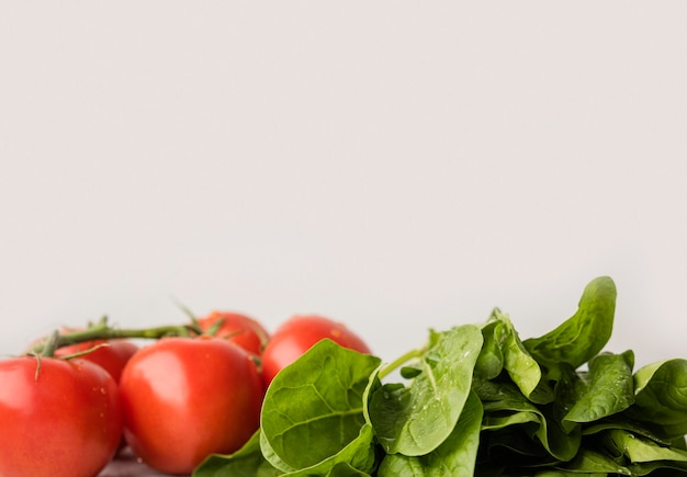 Delicious ingredients for healthy salad copy space