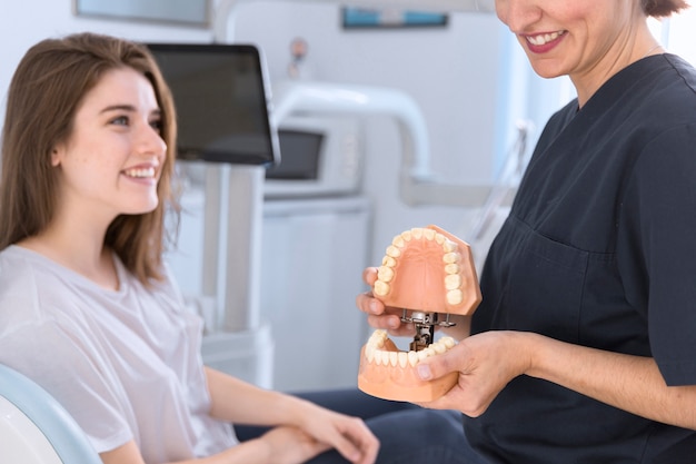 Dentist showing teeth model to smiling patient