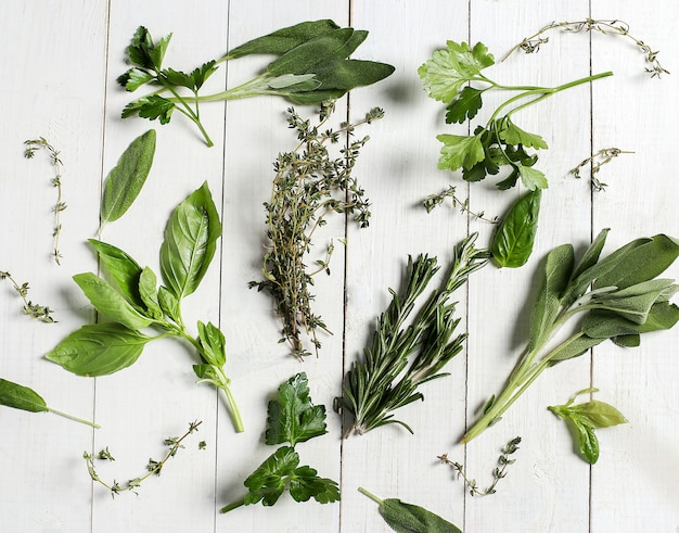 Free photo different herbs in white wooden table, top view