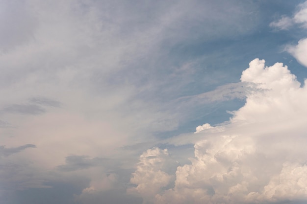 Free photo different shapes of clouds in the sky