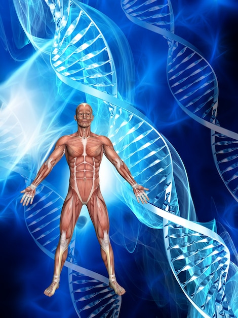 Free photo dna anatomy