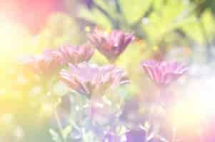 Free photo drawing purple flowers