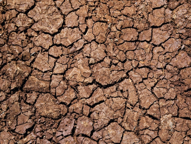 Free photo dried and cracked drought land