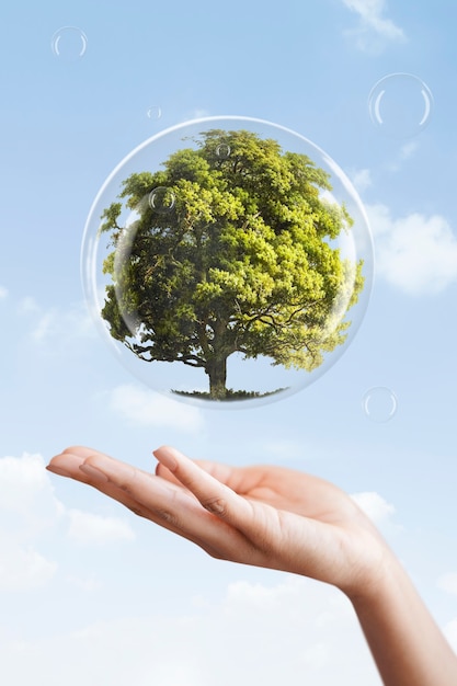 Earth day campaign hand showing tree in a bubble media mix