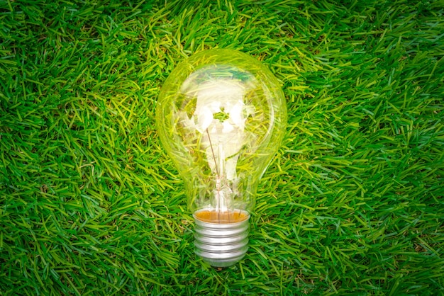 Free photo eco concept - light bulb grow in the grass