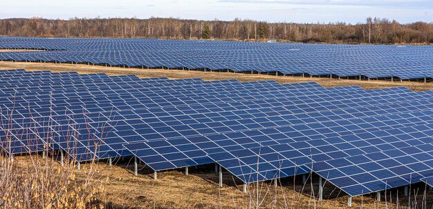 Electric farm with panels for producing clean ecologic energy