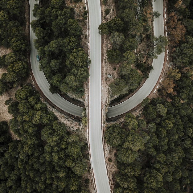 Free photo elevated view of straight and curve road in forest