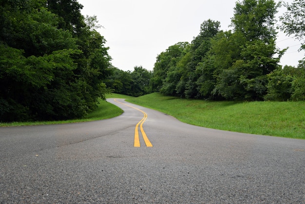 Free photo empty road in the middle of grassy fields with green trees under a cloudy sky