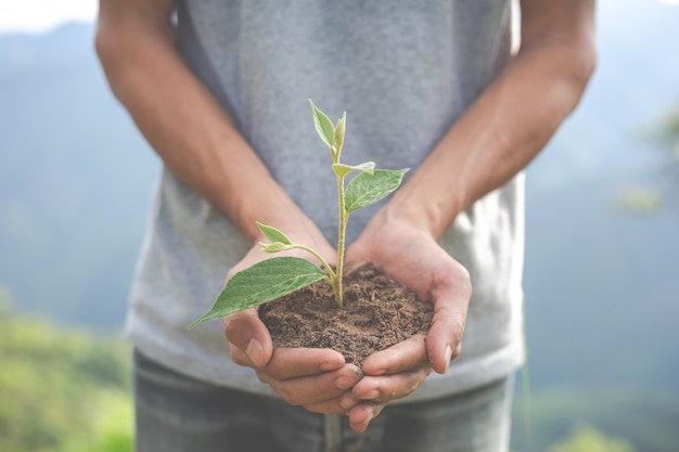 Free photo environmental conservation in the garden for children.