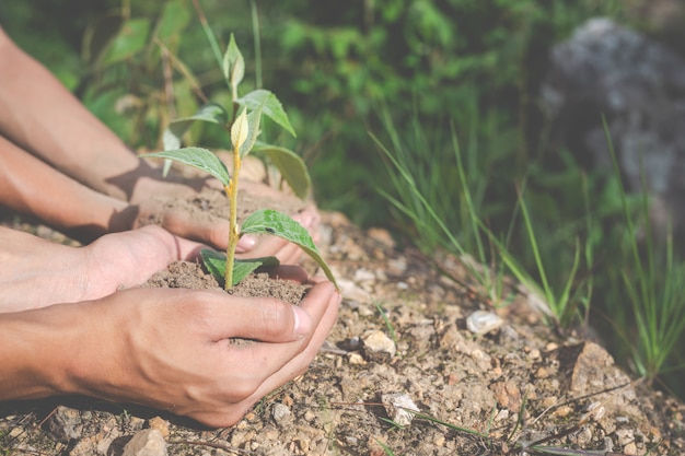 Free photo environmental conservation in the garden for children.