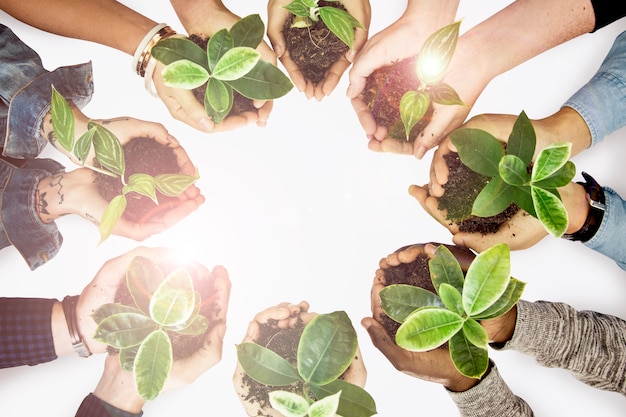 Free photo environmentalists' hands cupping plants earth day campaign