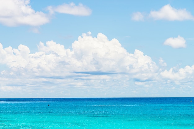 Free photo fantastic view of sea and sky