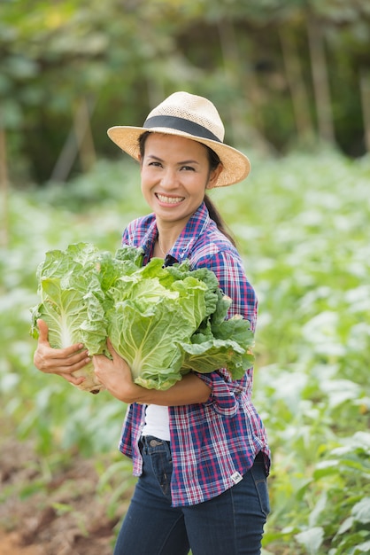 Free photo farmers are working in chinese cabbage farm