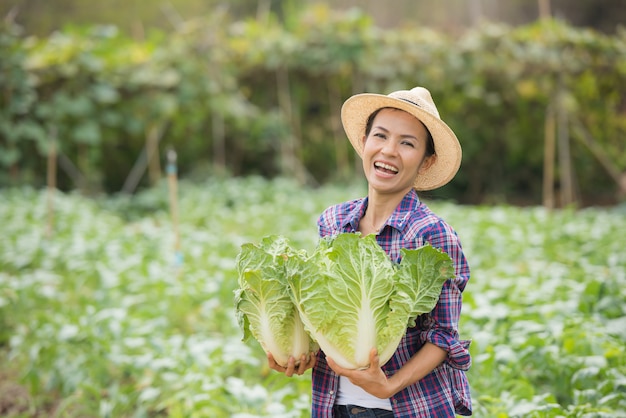 Free photo farmers are working in chinese cabbage farm