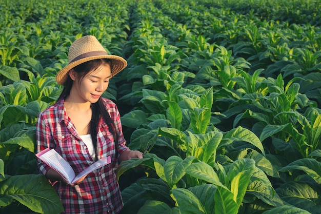 Free Photo farmers hold notebook check modern tobacco fields.