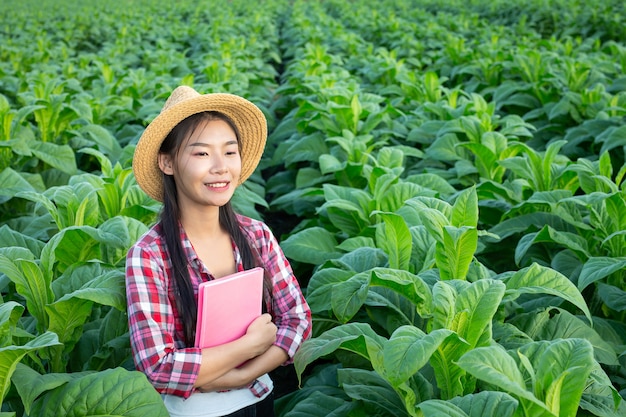 Free photo farmers hold notebook check modern tobacco fields.