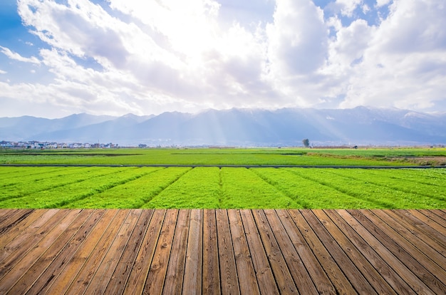 Free photo farmland