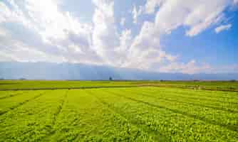 Free photo farmland