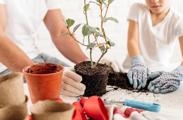 Free photo father and son planting plants at home together