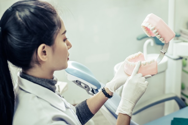 Free photo female dentist explaining artificial teeth to patient in clinic