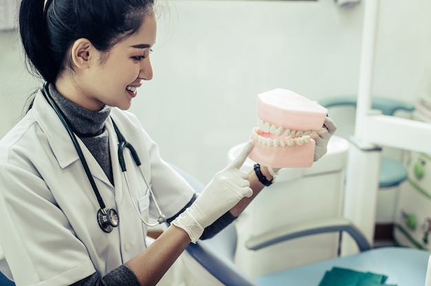 Free photo female dentist explaining artificial teeth to patient in clinic