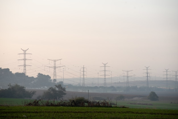 Free Photo field covered in greenery with transmission towers on the blurry background