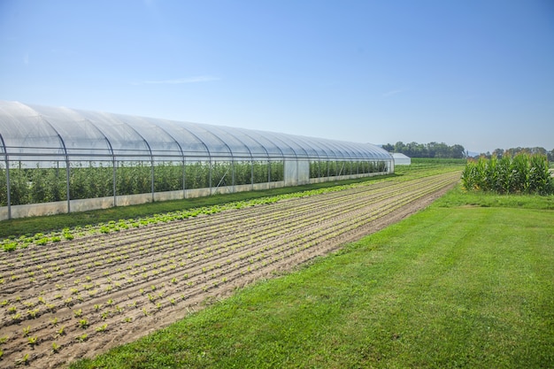 Free photo fields and a greenhouse