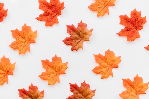 Free Photo flat lay of autumn leaves texture