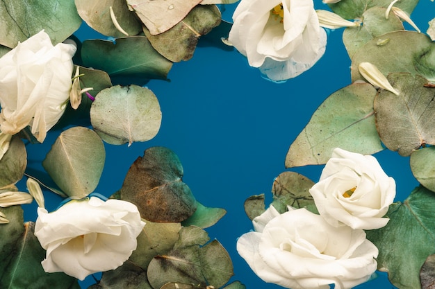 Free photo flat lay leaves and petals in blue water