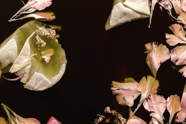 Free Photo flat lay pink flowers in black water